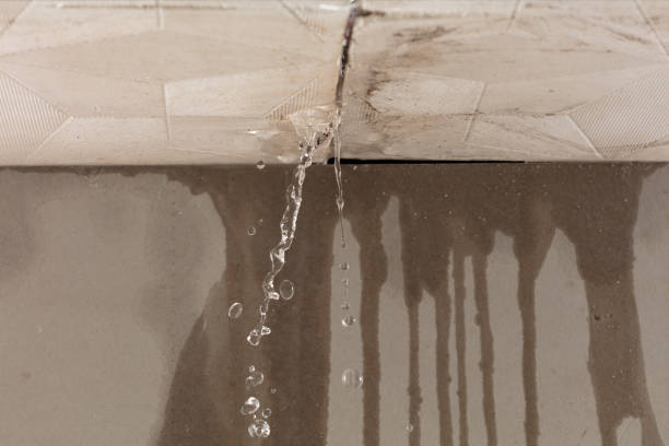 Professional Water Damage Restoration technician working in Kimball, TN